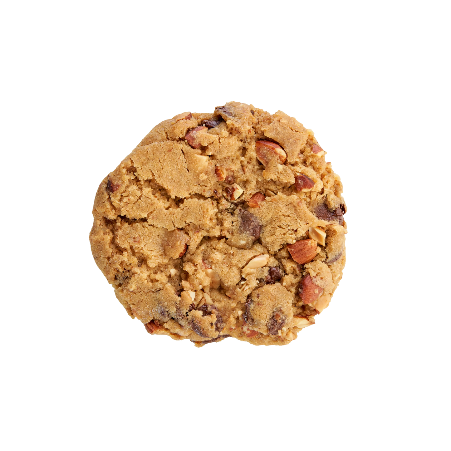 The Dark Chocolate Almond Sea Salt Cookie